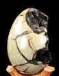 Septarian Dragon Egg Geode - Black Crystals #37124-4